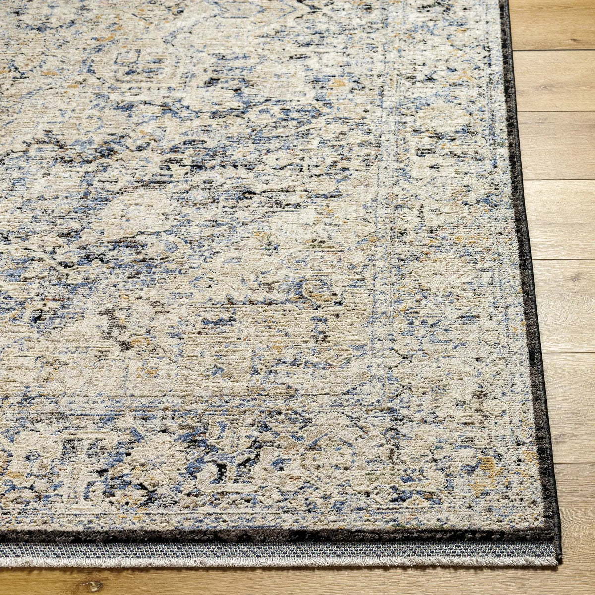 Charo Light Gray Area Rug, photo 4 of 9