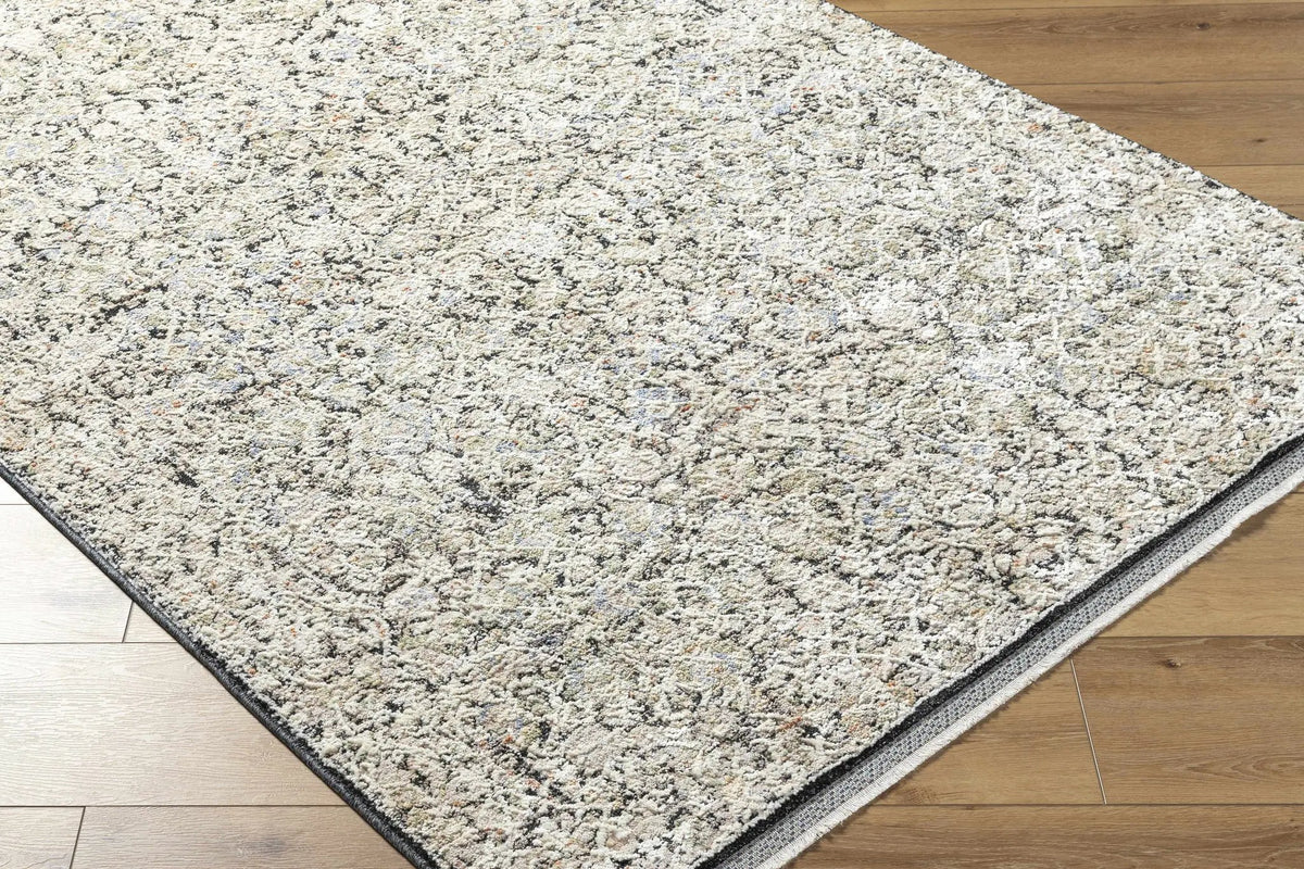 Haran Cloud Gray Area Rug, photo 11 of 14