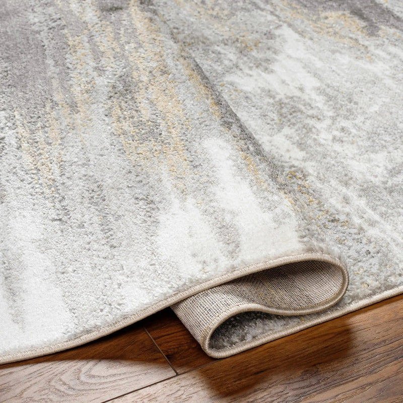 Derex Abstract Gray Rug by Boutique Rugs