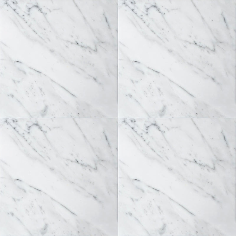 Statuarietto Polished Marble Tiles 12x12 Marble Polished 12x12 Tiles