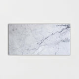 Statuarietto Polished Marble Tiles 12x24