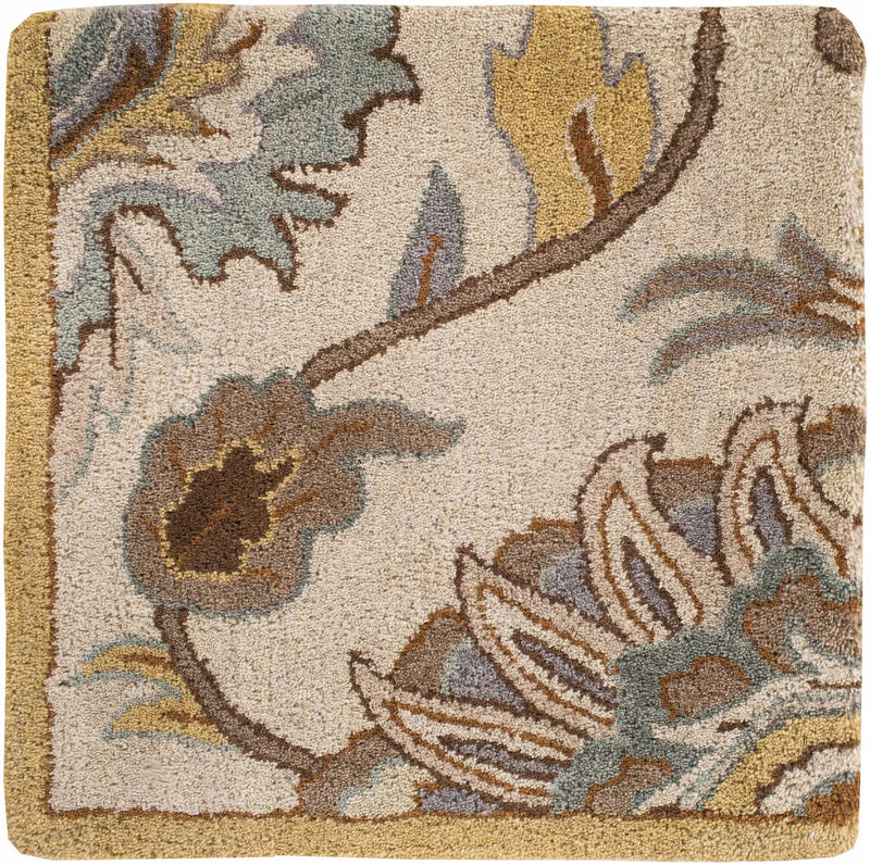 Conesus Hand Tufted Tan 1012 Area Rug by Boutique Rugs