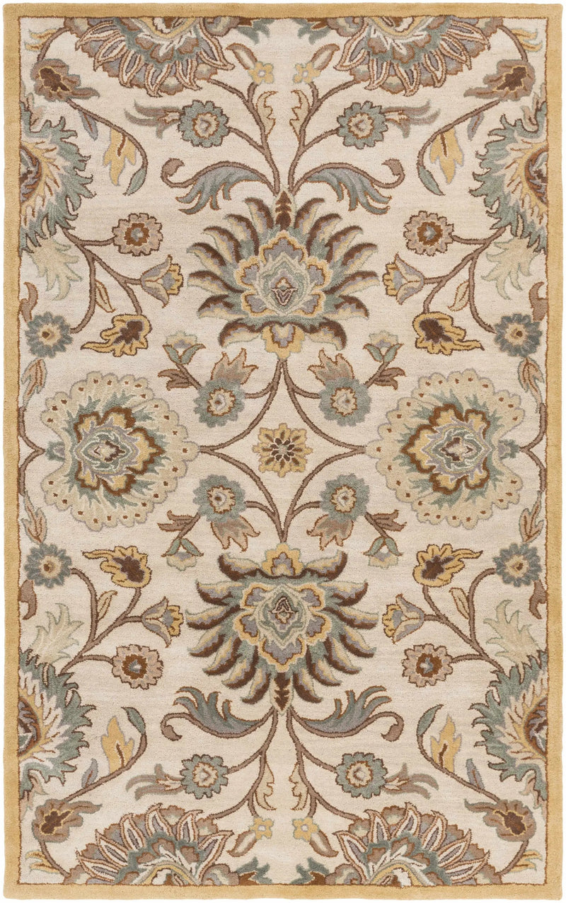 Conesus Hand Tufted Tan 1012 Area Rug by Boutique Rugs