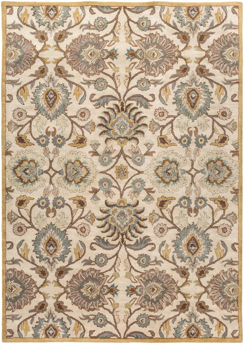 Conesus Hand Tufted Tan 1012 Area Rug by Boutique Rugs