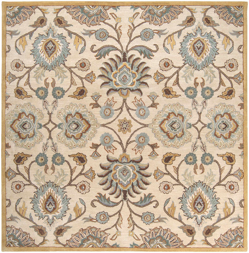 Conesus Hand Tufted Tan 1012 Area Rug by Boutique Rugs