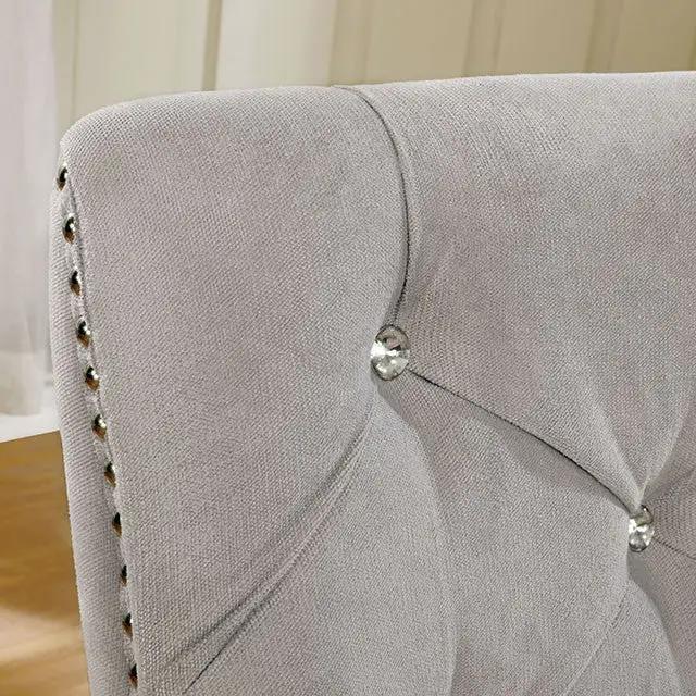 Diocles - Side Chair (2/Box) by Unique Piece Furniture