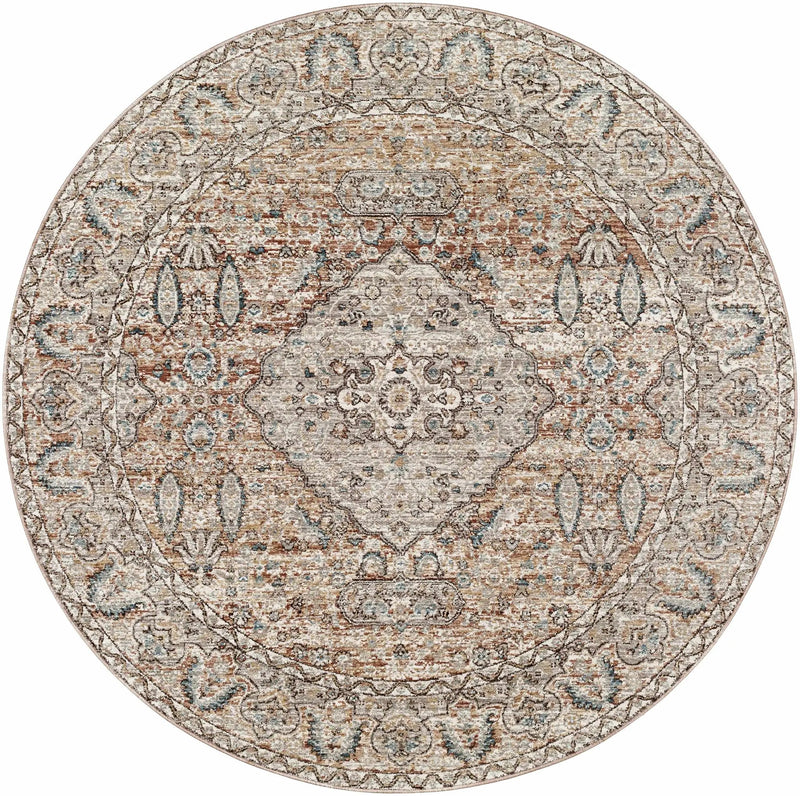 Suay Area Rug - Clearance by Boutique Rugs