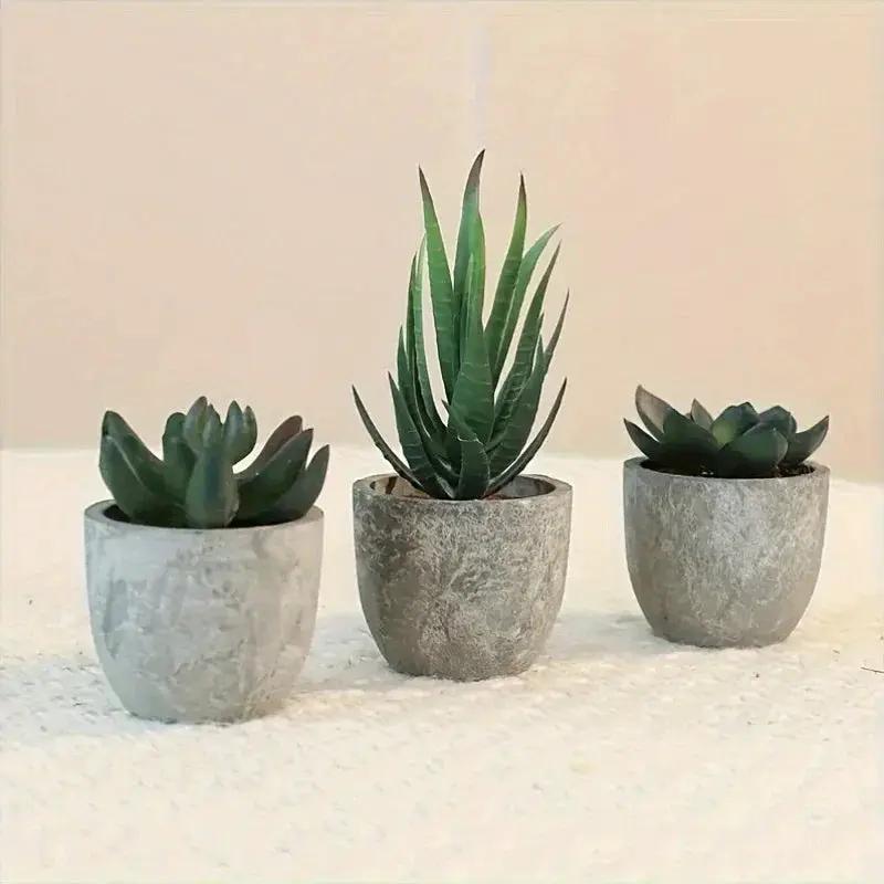 Succulent Plant Set in Concrete Pots, Low Maintenance Indoor Decor by House Of Avana