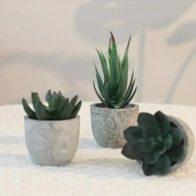 Succulent Plant Set in Concrete Pots, Low Maintenance Indoor Decor by House Of Avana