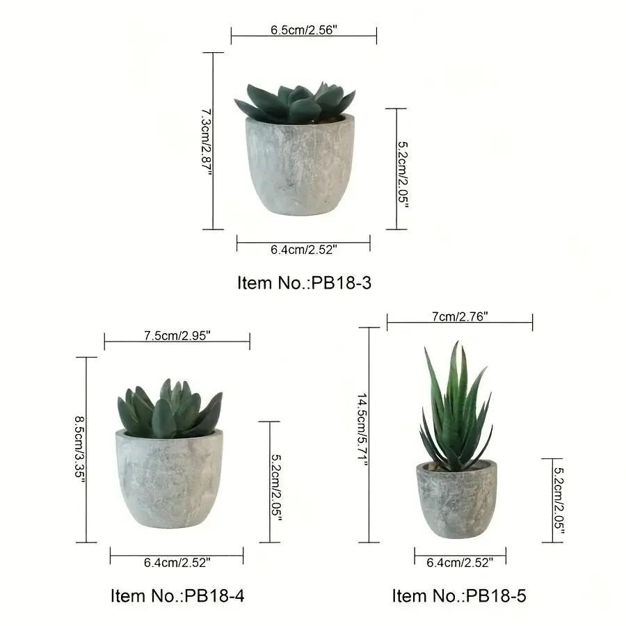 Succulent Plant Set in Concrete Pots, Low Maintenance Indoor Decor by House Of Avana