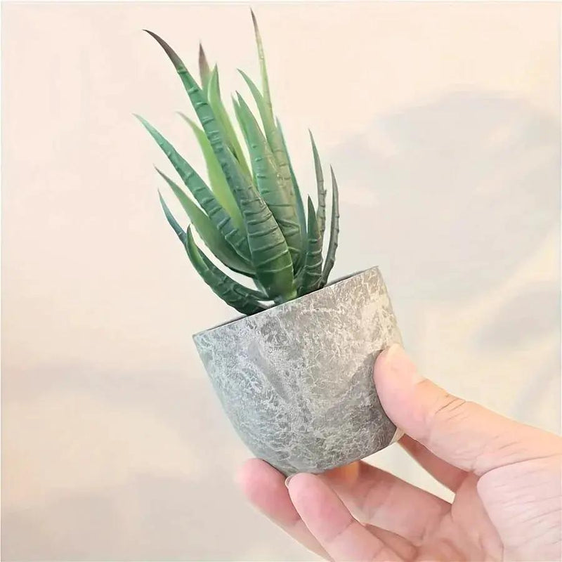 Succulent Plant Set in Concrete Pots, Low Maintenance Indoor Decor by House Of Avana