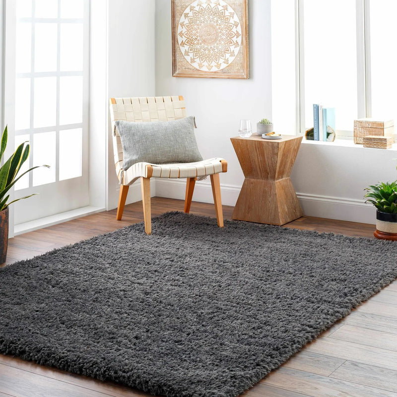 Black Allon Area Rug - Clearance by Boutique Rugs