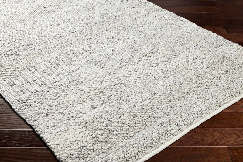 Amon Area Rug - Clearance by Boutique Rugs