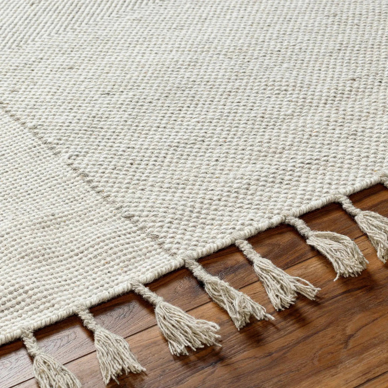 Abhay Beige Wool Area Rug - Clearance by Boutique Rugs