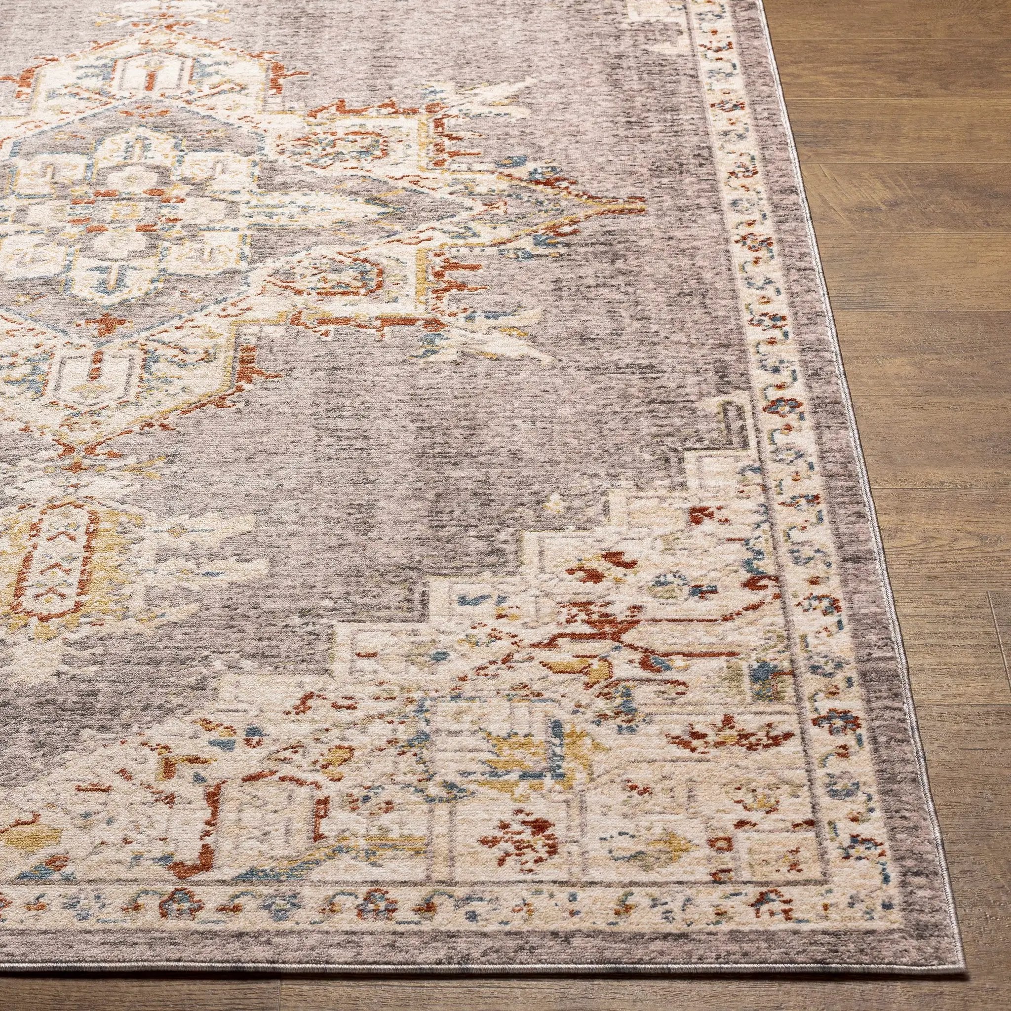 Taia Traditional Style Rug - Clearance by Boutique Rugs