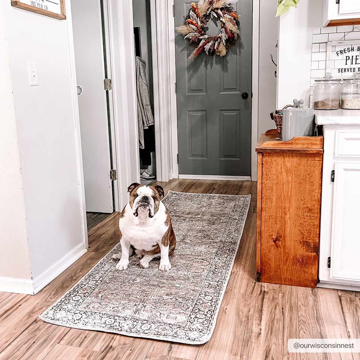 Jill Washable Area Rug - Clearance, photo 11 of 23