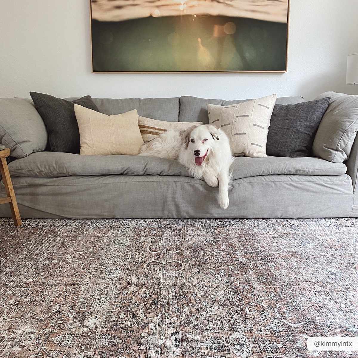 Jill Washable Area Rug - Clearance, photo 13 of 23