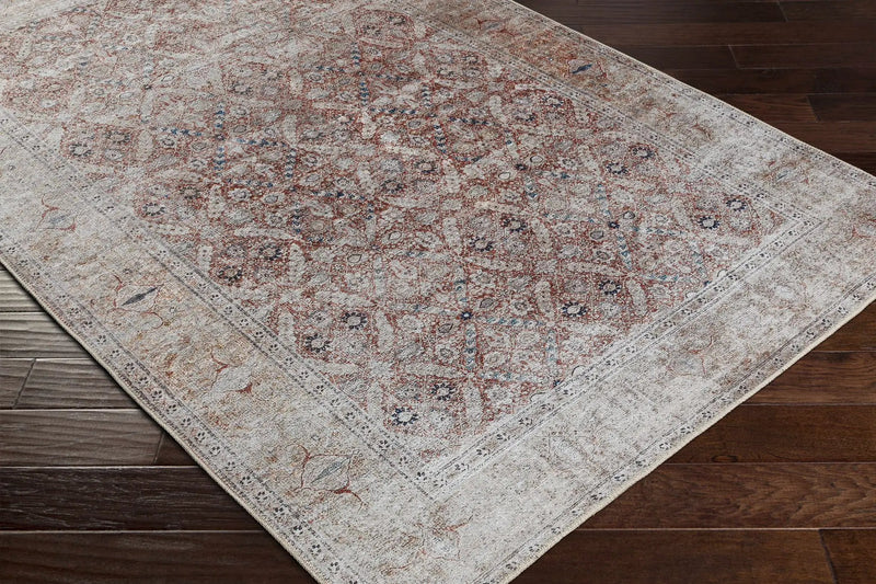 Tapia Washable Area Rug - Clearance by Boutique Rugs