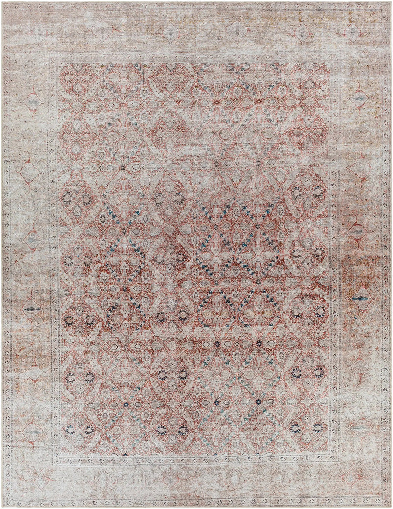 Tapia Washable Area Rug - Clearance by Boutique Rugs