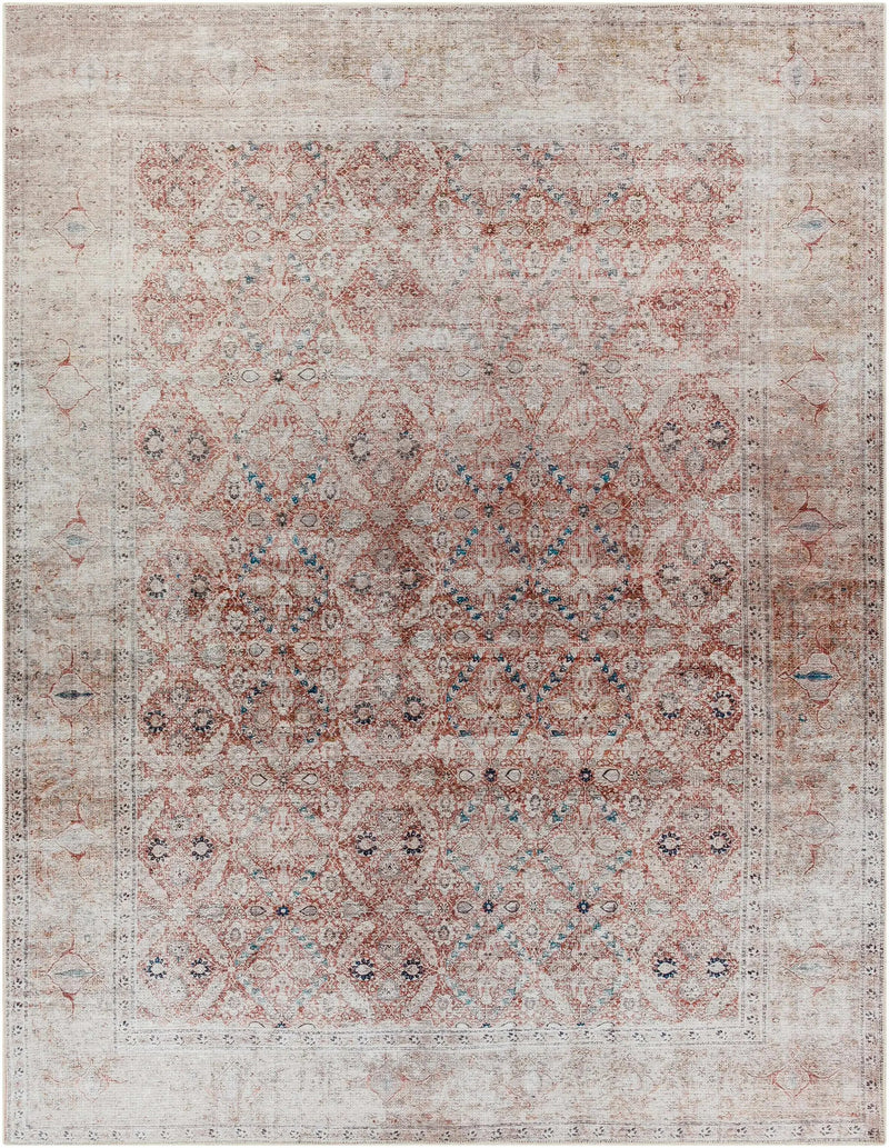 Tapia Washable Area Rug - Clearance by Boutique Rugs