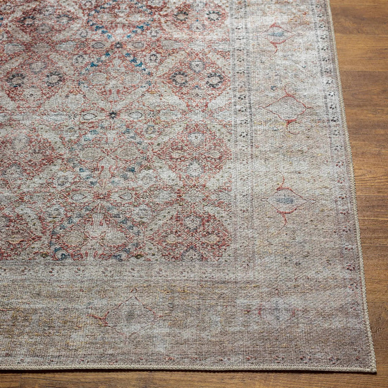 Tapia Washable Area Rug - Clearance by Boutique Rugs