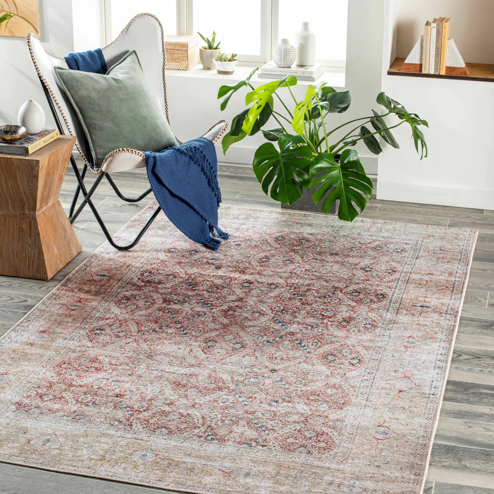 Tapia Washable Area Rug - Clearance by Boutique Rugs
