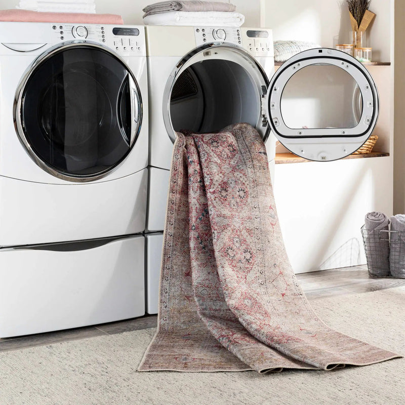 Tapia Washable Area Rug - Clearance by Boutique Rugs