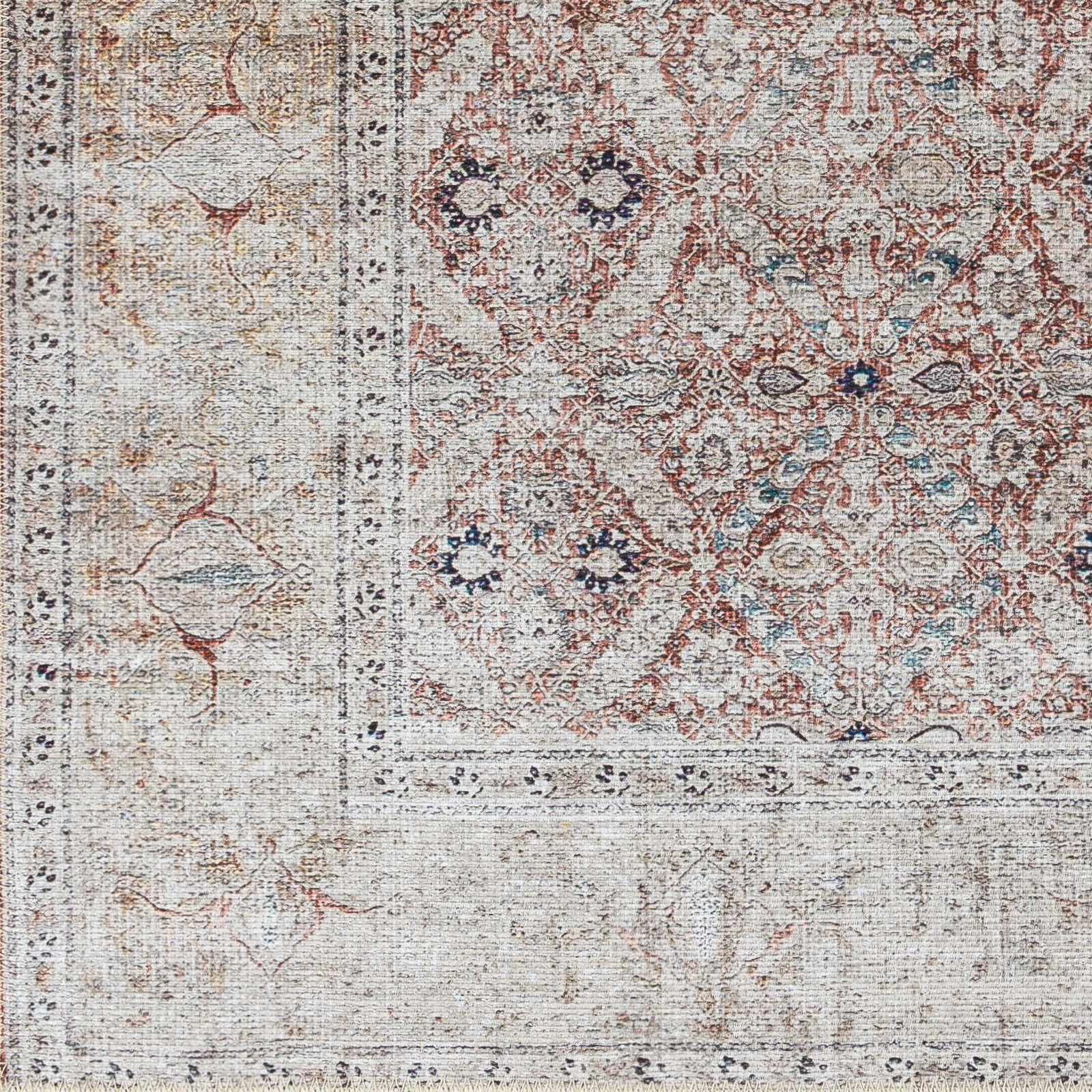 Tapia Washable Area Rug - Clearance by Boutique Rugs