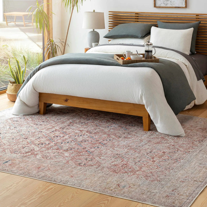 Tapia Washable Area Rug - Clearance by Boutique Rugs