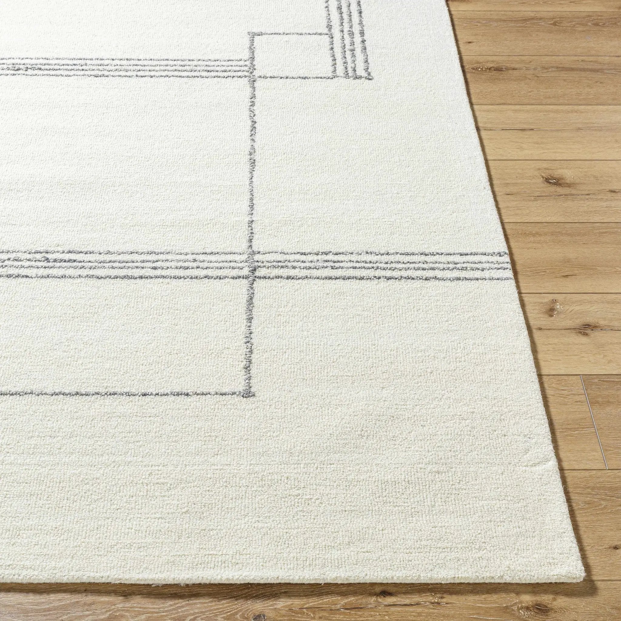 Truma Area Rug by Boutique Rugs