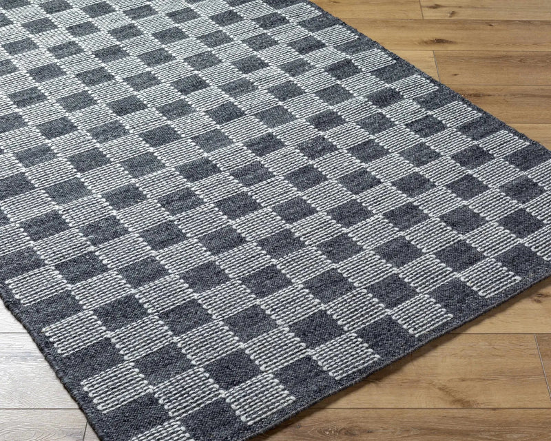 Thijs Area Rug - Clearance by Boutique Rugs