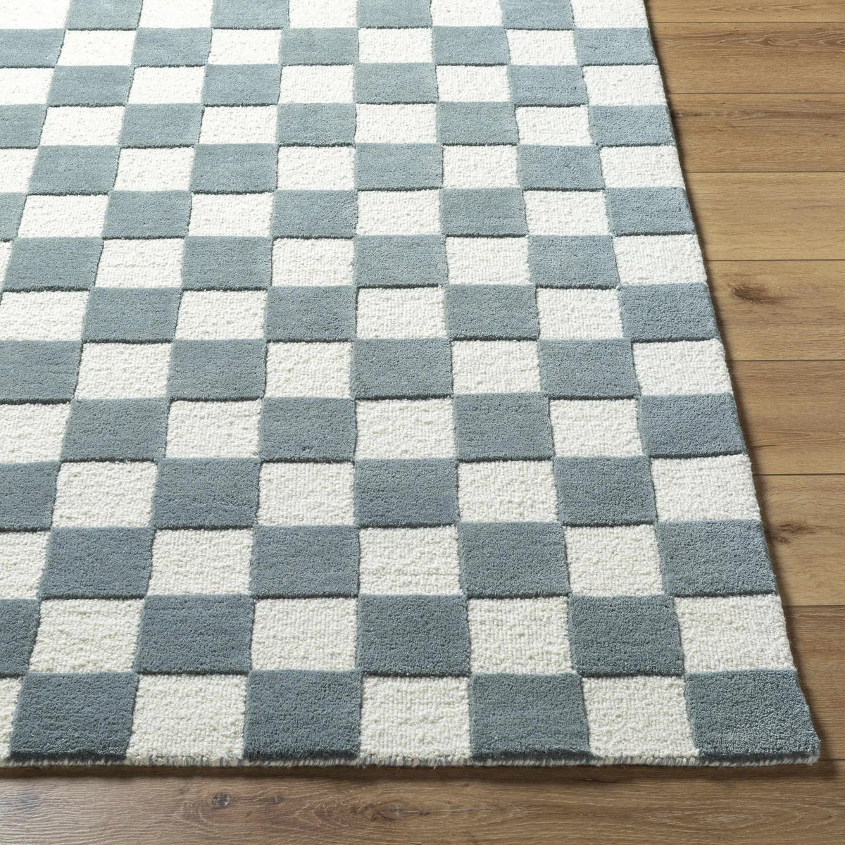 Timin Blue Gray Checkered Area Rug - Clearance, photo 2 of 6