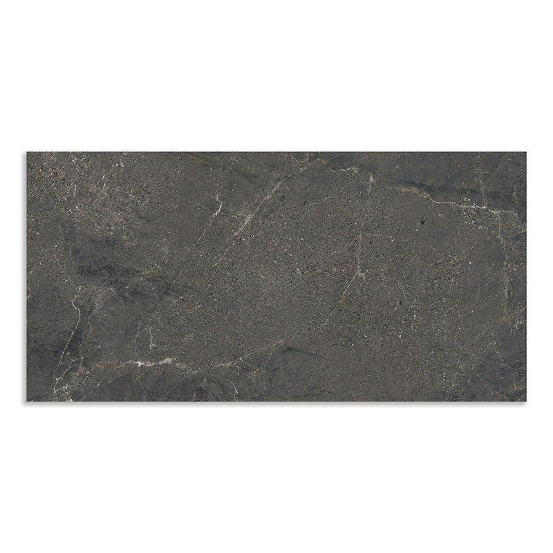 Tempest Matte Porcelain Tiles 12x24 Porcelain Matte 12x24 Tiles