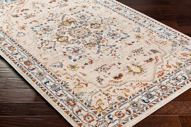 Teva Traditional Style Rug - Clearance by Boutique Rugs