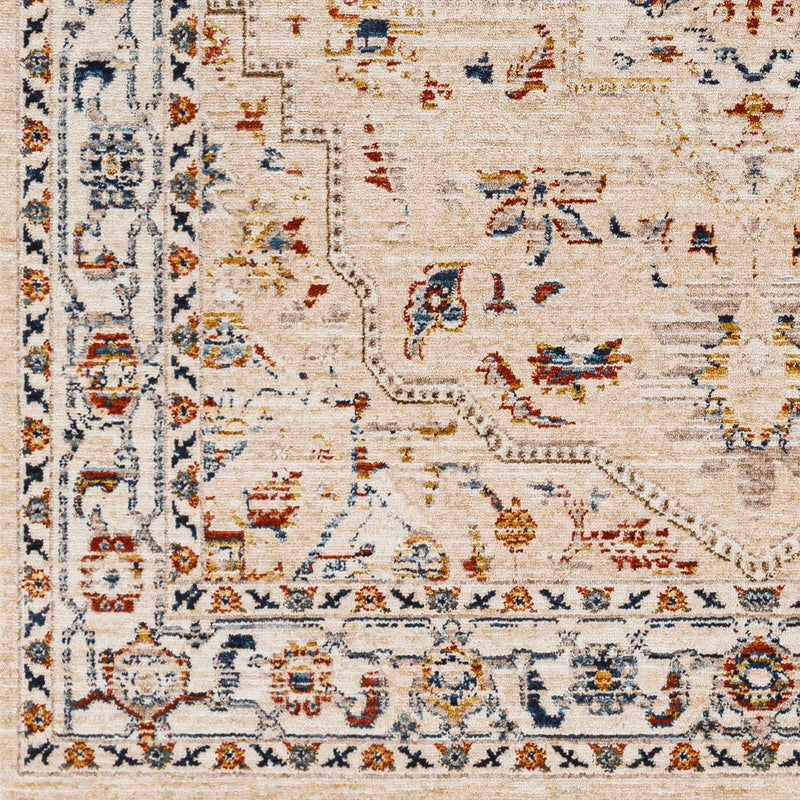 Teva Traditional Style Rug - Clearance by Boutique Rugs