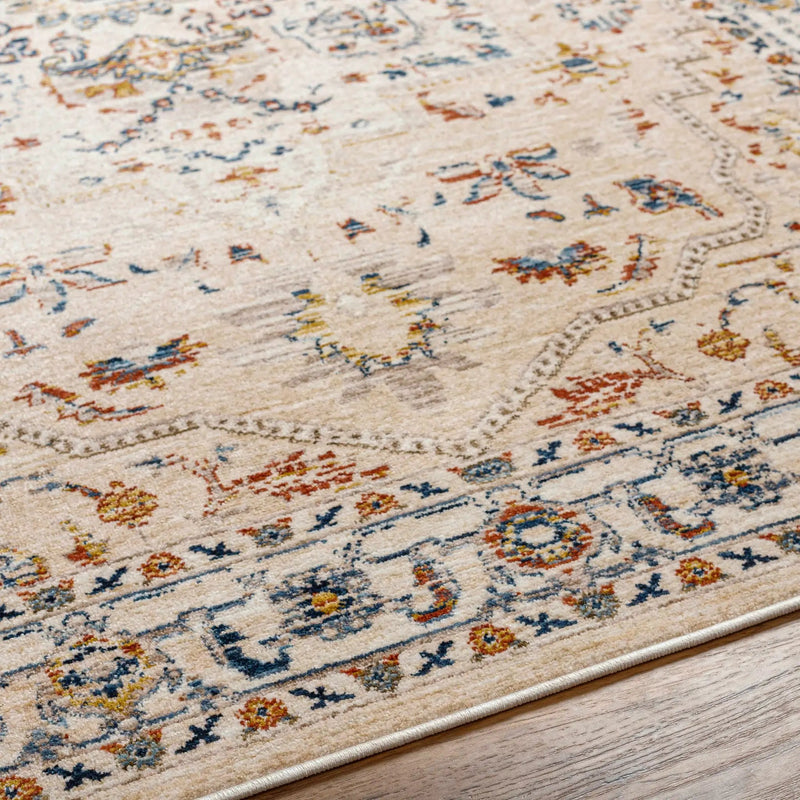 Teva Traditional Style Rug - Clearance by Boutique Rugs