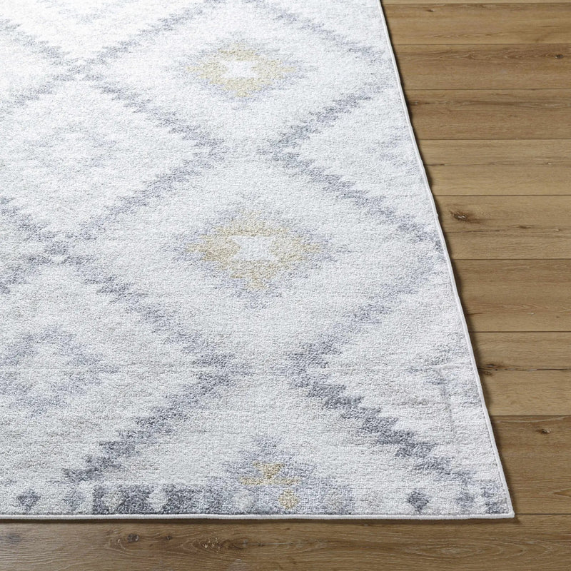 Tyipa Area Rug - Clearance by Boutique Rugs