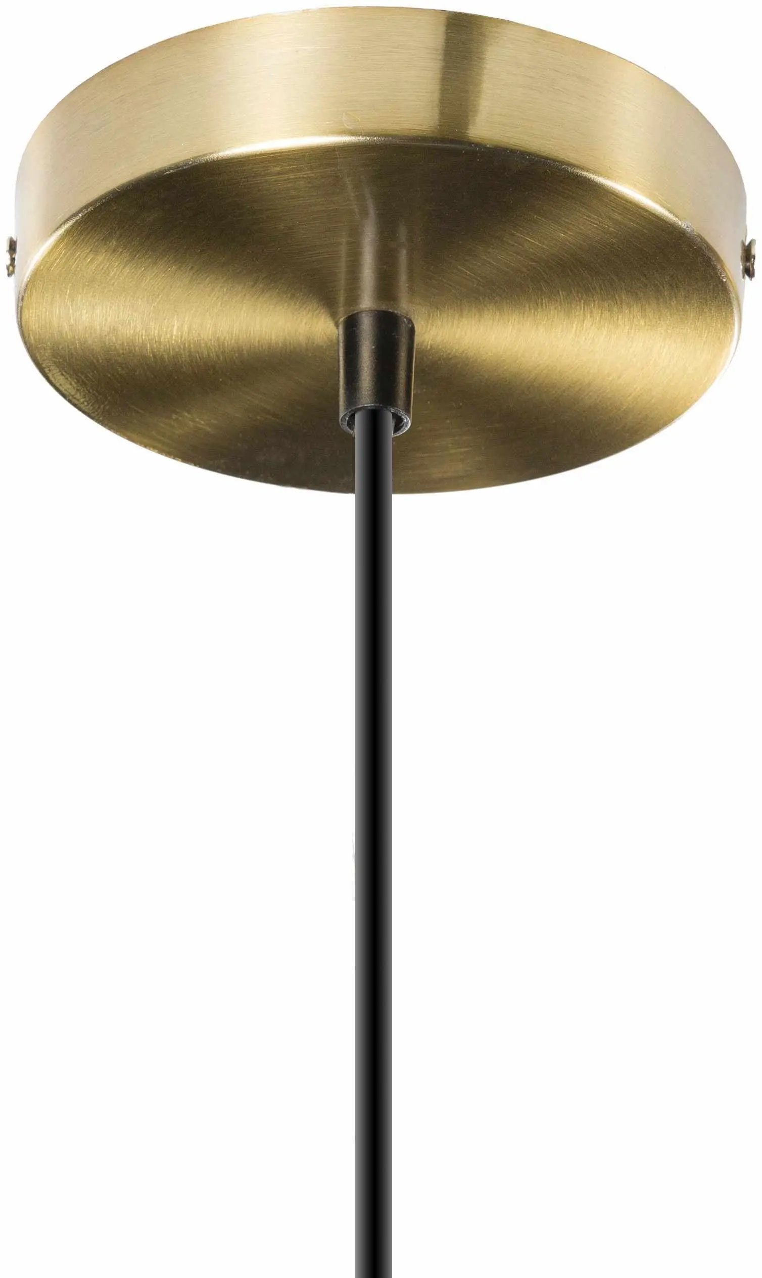 Thayne Ceiling Light - Clearance by Boutique Rugs