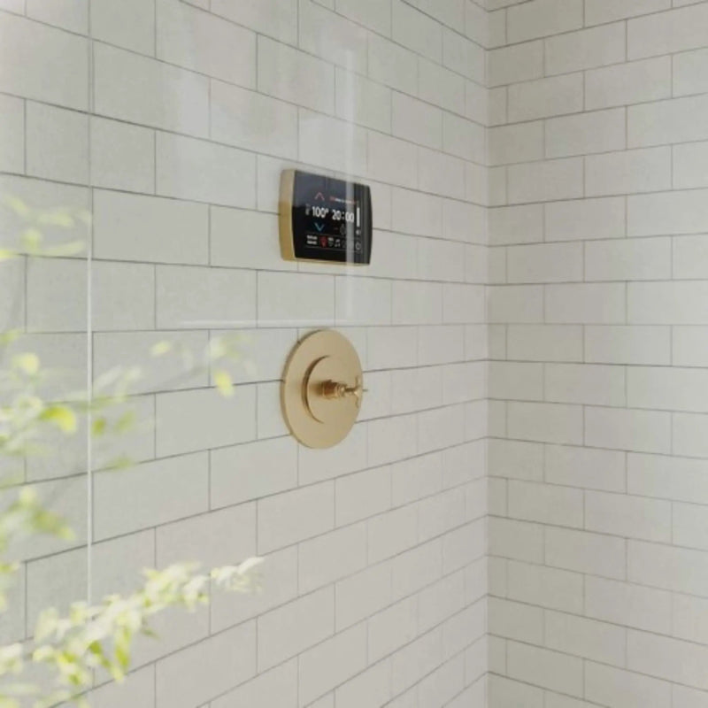 ThermaSol SignaTouch Flushmount 5-Inch Digital Shower Steam Control Package With Serenity 10 [TWPSR] (SAK84375) by SAKSBY WHOLESALE