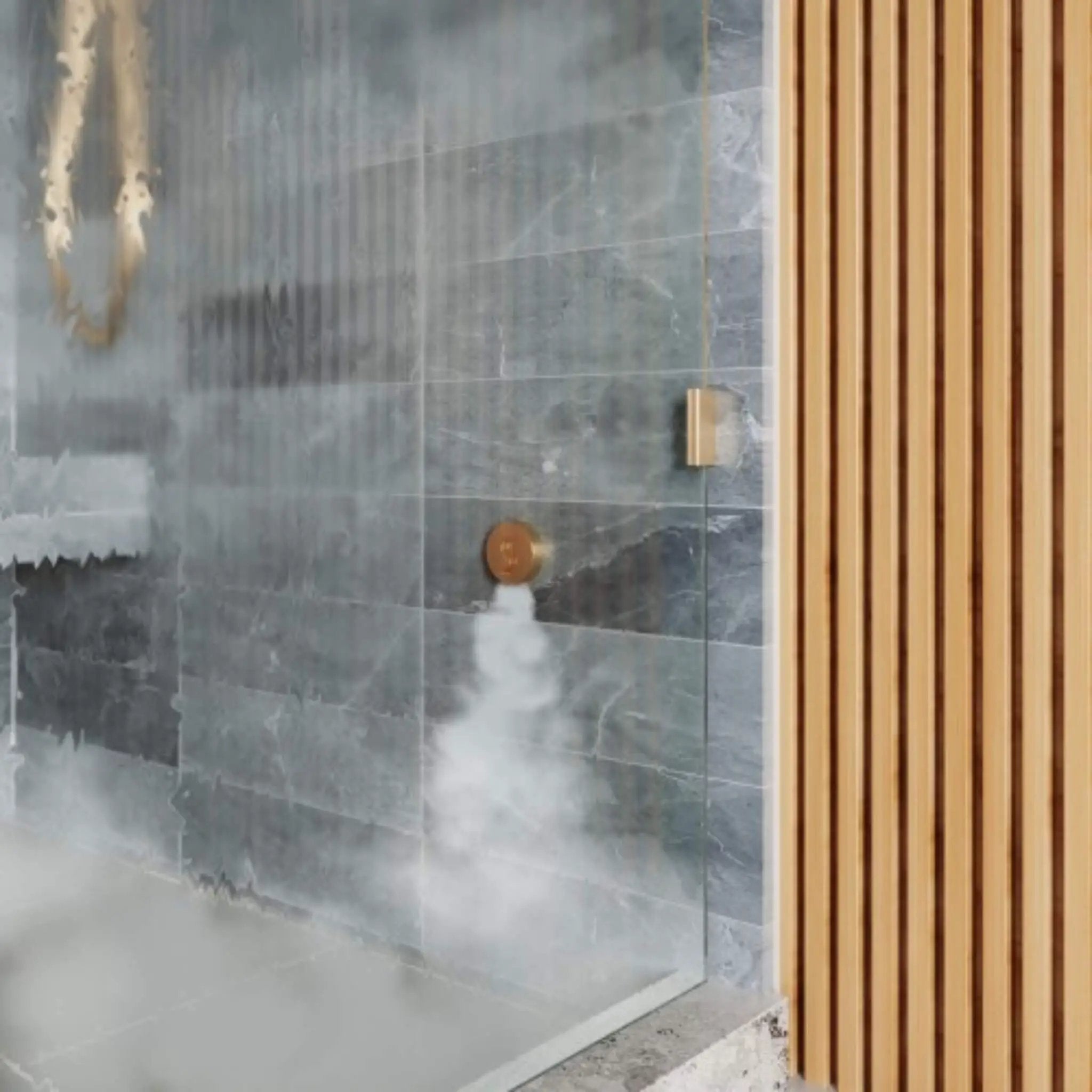 ThermaSol SignaTouch Flushmount 5-Inch Digital Shower Steam Control Package With Serenity 10 [TWPSR] (SAK84375) by SAKSBY WHOLESALE
