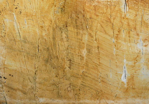 Thesaurus Polished Quartzite Slab Random