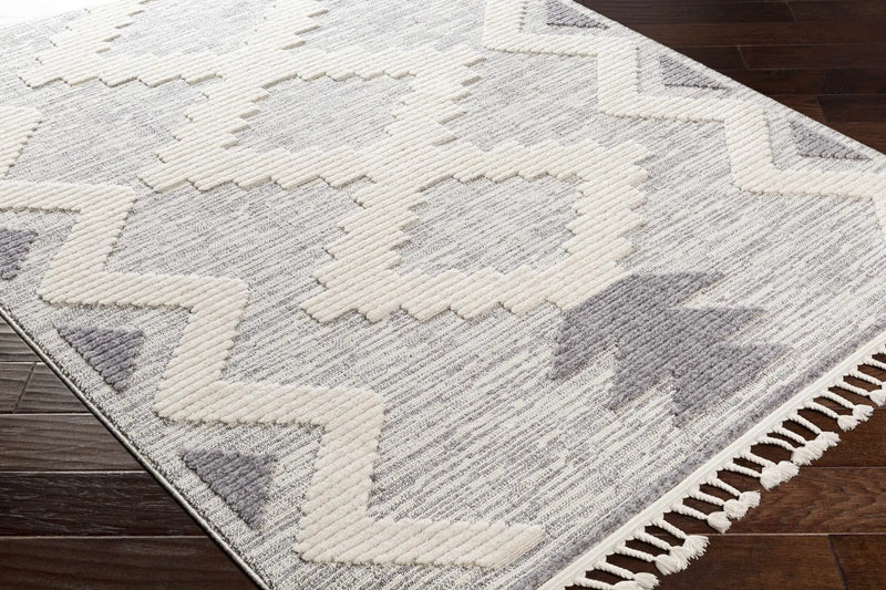 Thornburg High/Low Pile Rug with Tassels - Clearance by Boutique Rugs