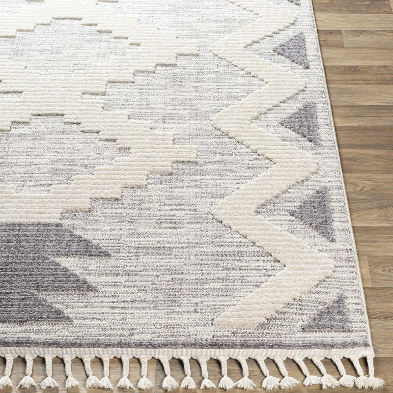 Thornburg High/Low Pile Rug with Tassels - Clearance by Boutique Rugs