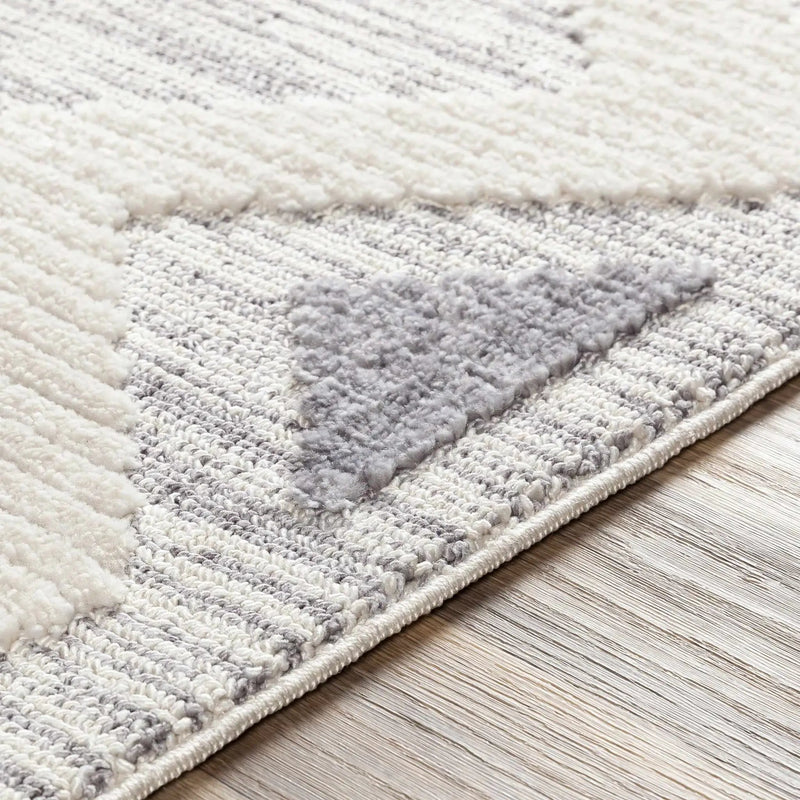 Thornburg High/Low Pile Rug with Tassels - Clearance by Boutique Rugs