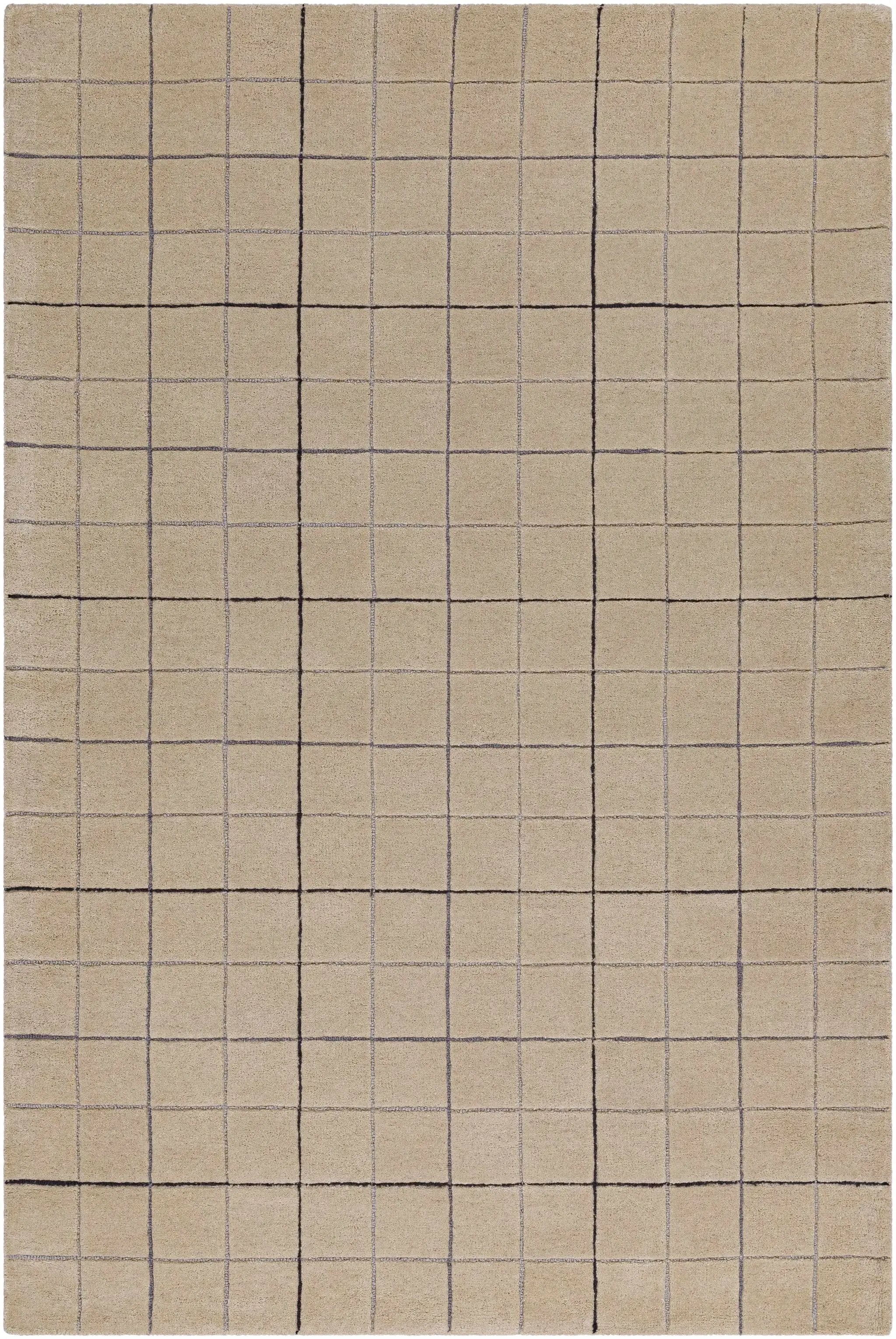 Toshi Beige Area Rug by Boutique Rugs