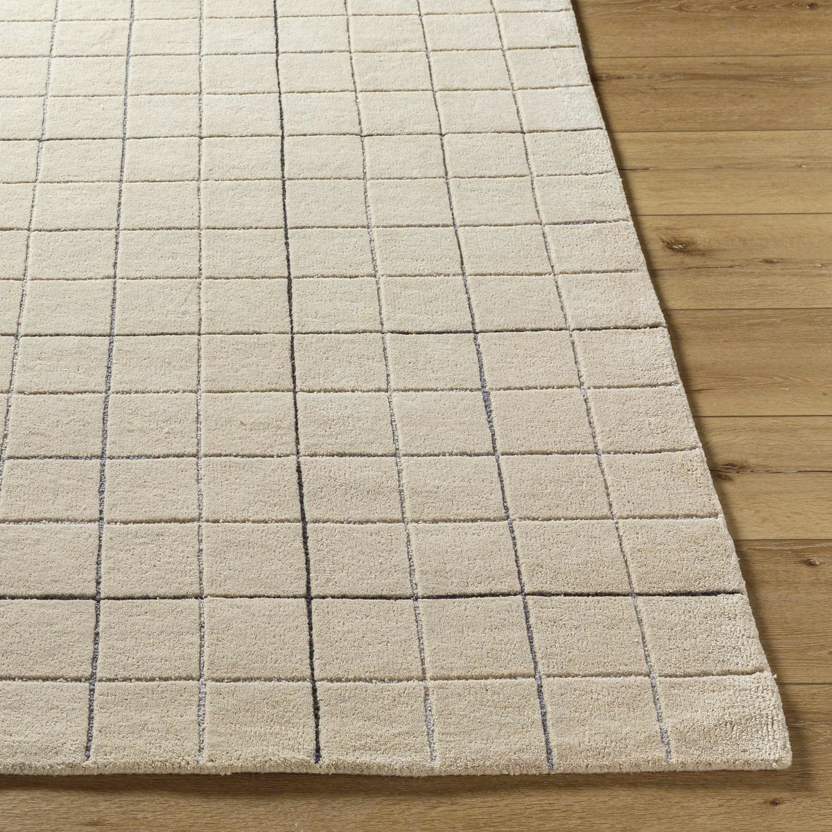 Toshi Beige Area Rug, photo 4 of 7