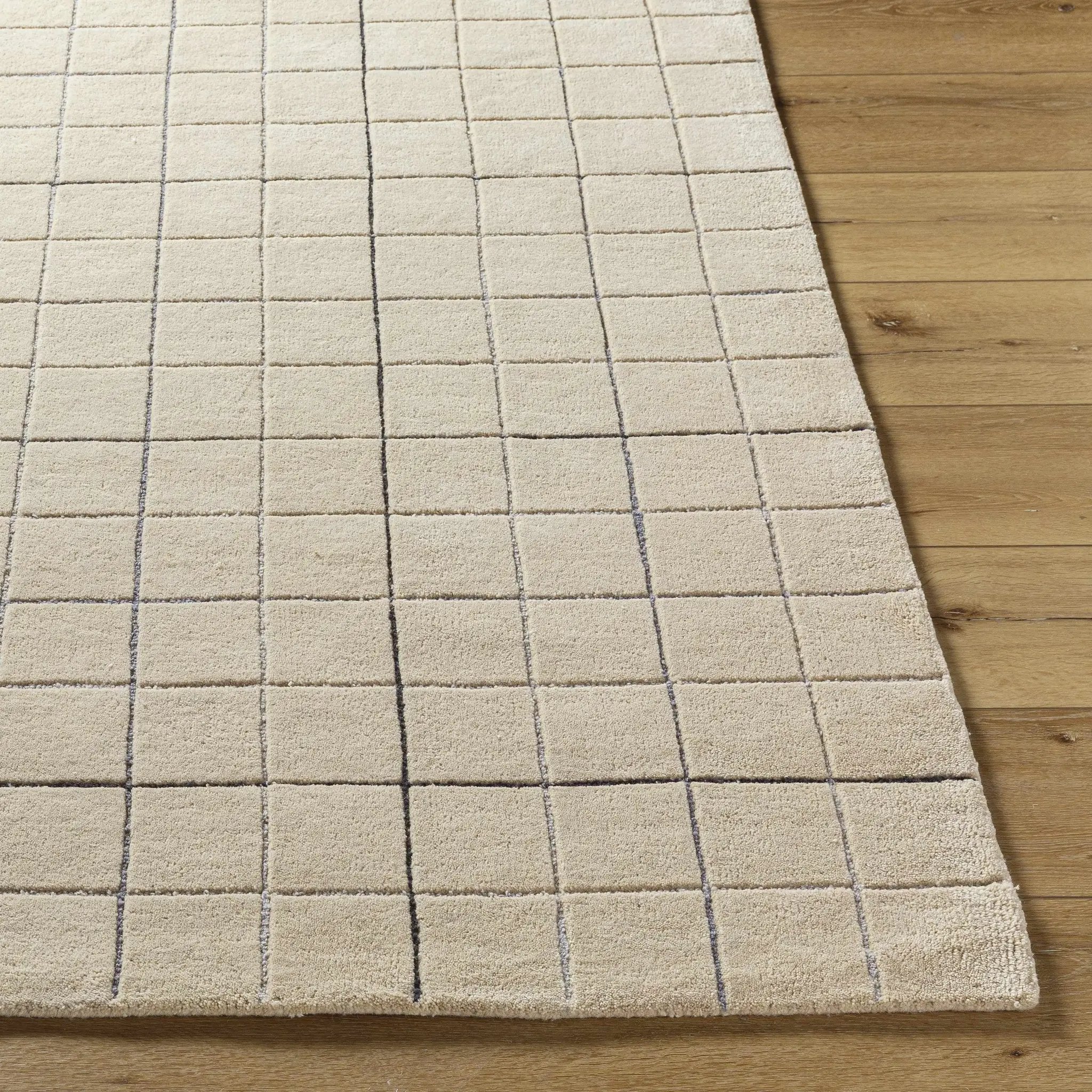 Toshi Beige Area Rug by Boutique Rugs