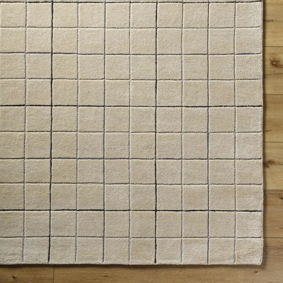 Toshi Beige Area Rug, photo 6 of 7