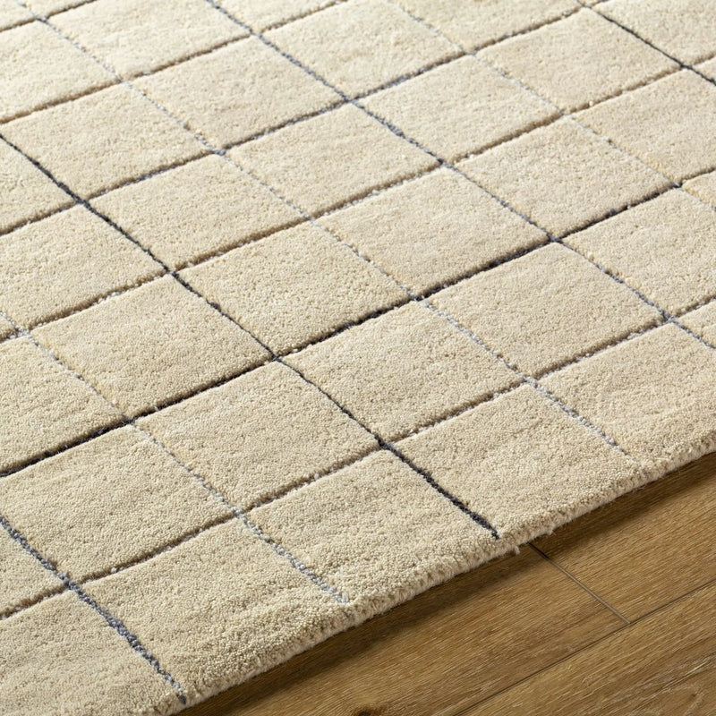 Toshi Beige Area Rug by Boutique Rugs