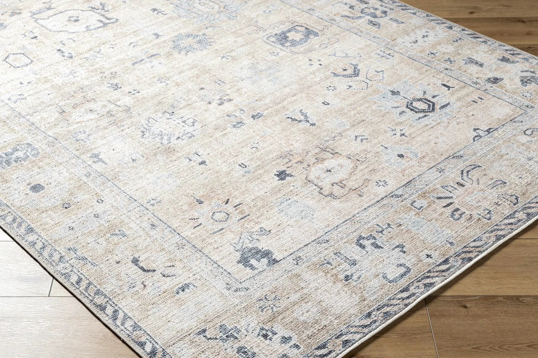 Toddy Area Rug by Boutique Rugs